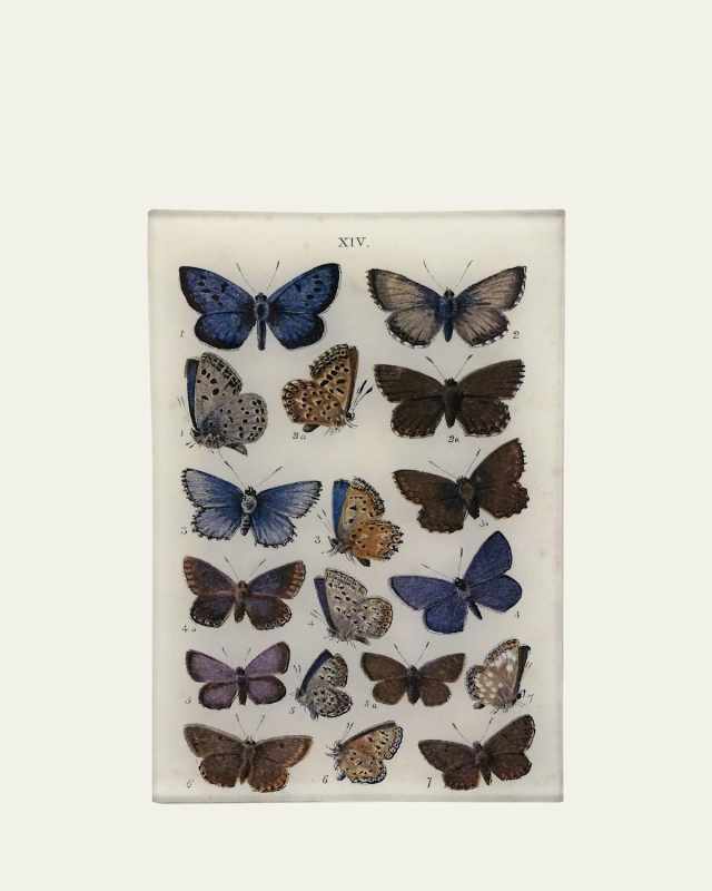 Butterflies XIV Cell Phone Tray, 5" x 8"